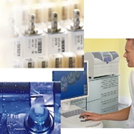 �ق������Ȃ̉q����