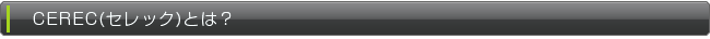 cerec_title2