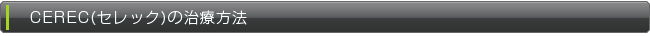 cerec_title2
